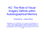 Visual imagery deficits, impaired strategic retrieval, or memory loss