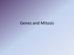 Genes - ASW Moodle