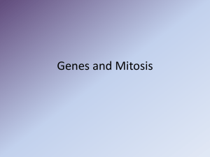 Genes - ASW Moodle