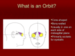 Orbits and Optics