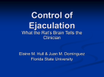 Supraspinal control of ejaculation