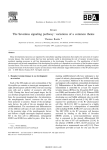 The Sevenless signaling pathway