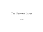 Network Layer Details - Information Technology
