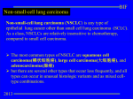 Non-small-cell lung carcinoma