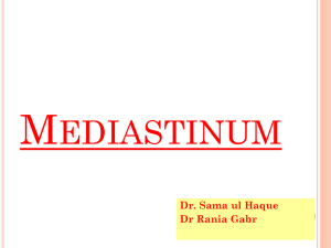1- Mediastinum