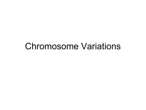 Chromosome Variations