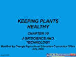 KEEPING PLANTS HEALTHY