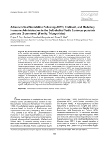Adrenocortical Modulation Following ACTH, Corticoid, and