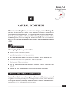 Natural Ecosystem