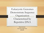 The Eukaryotic Genome Genomics