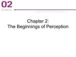 chapter2 (new window)