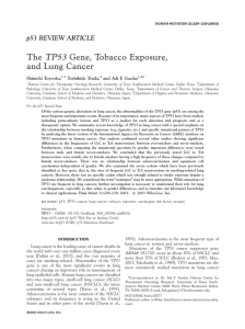 The TP53 Gene, Tobacco Exposure, and Lung Cancer