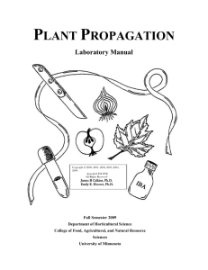 plant propagation - Kingsland Public Schools