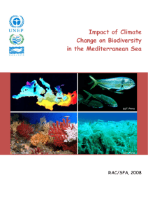 Impact of Climate Change on Biodiversity in the Mediterranean Sea