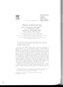 Hepatic surgical anatomy