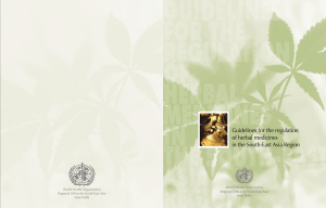 Guidelines for the regulation of herbal medicines in the South