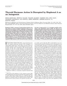 Thyroid Hormone Action Is Disrupted by Bisphenol A as an Antagonist