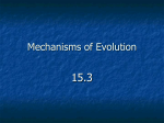 Evolution Lecture #2