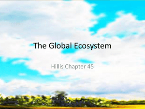 The Global Ecosystem