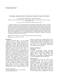 Genotypic characterization of infectious bronchitis viruses from India