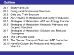 20.5 Strategies of Metabolism: ATP and Energy