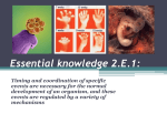 Essential knowledge 2.E.1: Timing and coordination of specific