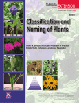 Classification and Naming of Plants - UNL, Go URL