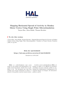Mapping Horizontal Spread of Activity in Monkey Motor