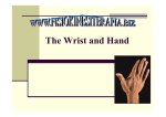 The Wrist and Hand - Fisiokinesiterapia