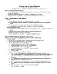 Anatomy Review: Skeletal Muscle Tissue