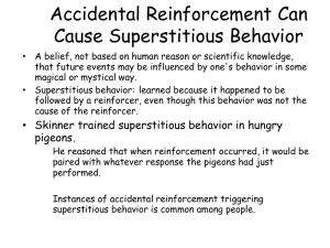 Accidental Reinforcement Can Cause Superstitious Behavior