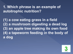 1. Which phrase is an example of autotrophic