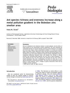 Ant species richness and evenness increase along a