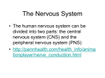 Dopamine and Parkinson`s Disease