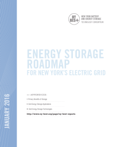 ENERGY STORAGE ROADMAP - NY-BEST