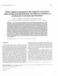 Chick noggin is expressed in the organizer and neural plate during