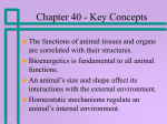 Chapter 36 - Key Concepts