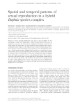 Spatial and temporal patterns of sexual reproduction in a hybrid