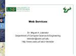 Web Service - CSE