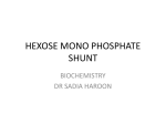 HEXOSE MONO PHOSPHATE SHUNT
