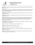 Energyized Ecosystem Vocabulary List