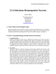2.2.4 Infectious Hematopoietic Necrosis