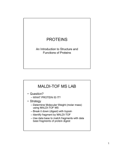 Introduction to Proteins