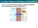 bio_ch03