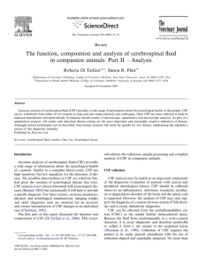 The function, composition and analysis of cerebrospinal fluid in