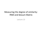 Bolsum and PAM Matrix