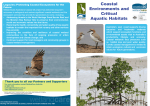 Coastal Environments and Aquatic Habitats Case Studies