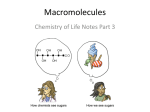 Macromolecules - Van Buren Public Schools