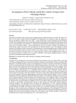 Investigation of Hot Cathode and Hollow Anode of Argon Glow