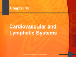 Blood and Lymphatic System